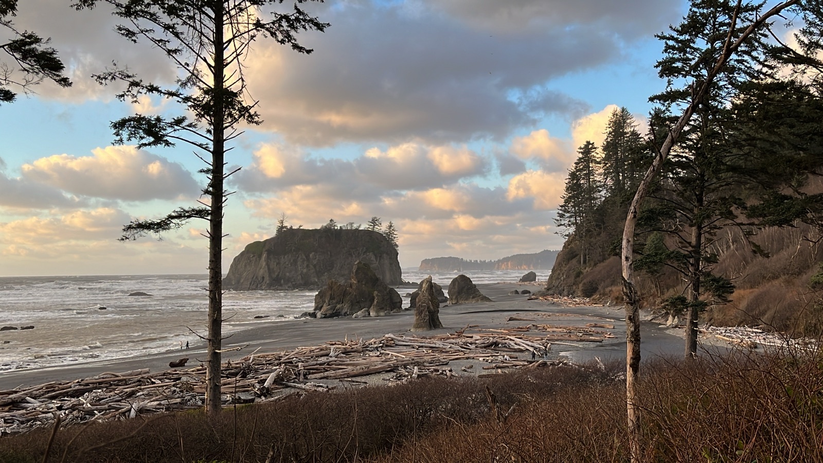 Sea stacks and driftwood at Ruby Beach, Olympic National Park
