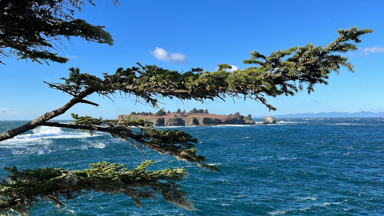 Tatoosh Island viewed from the Cape Flattery trail