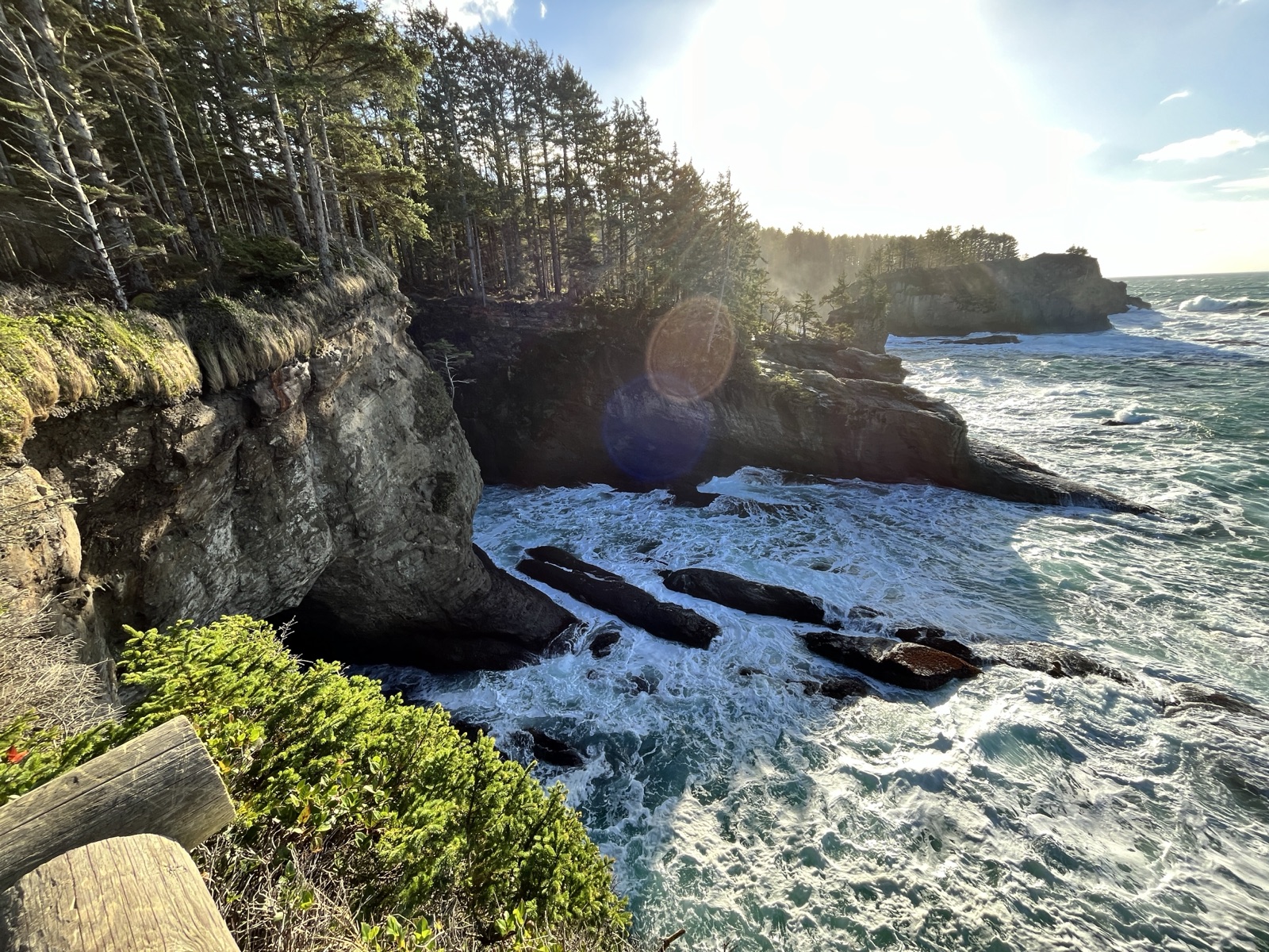 Sea caves and cliffs along the Cape Flattery trail
