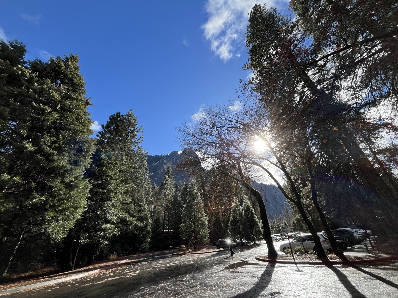 Frosty morning in Yosemite Valley with pines and mountains in the background