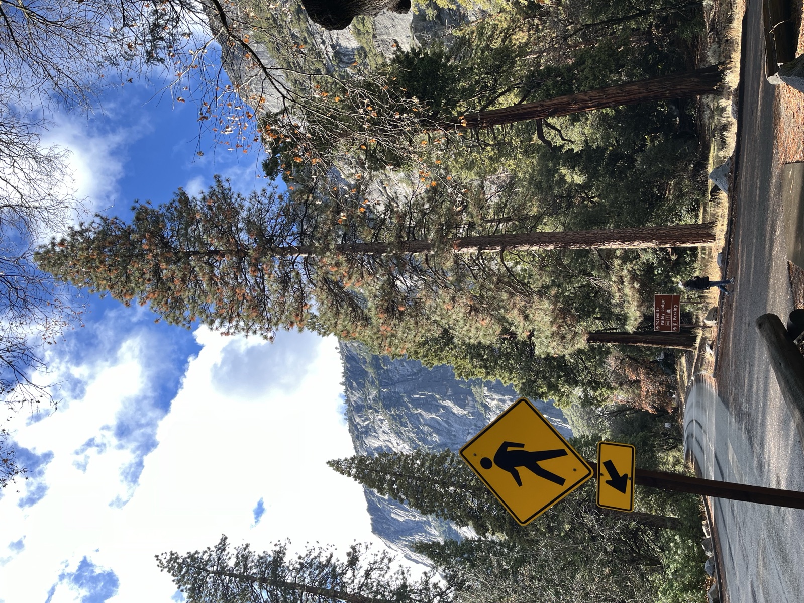 Trail sign near Yosemite Valley Lodge with the granite cliffs visible through the trees