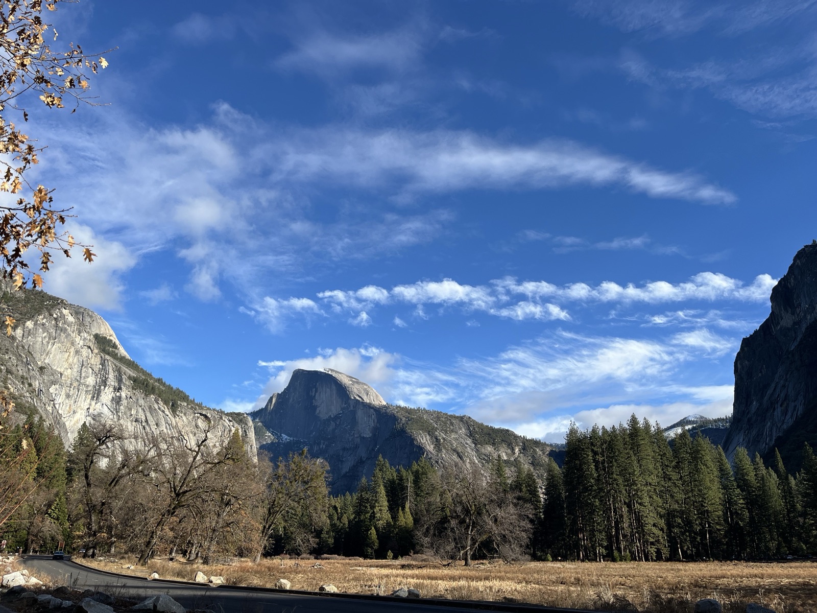 Half Dome rising above the valley floor and pine forest, Yosemite